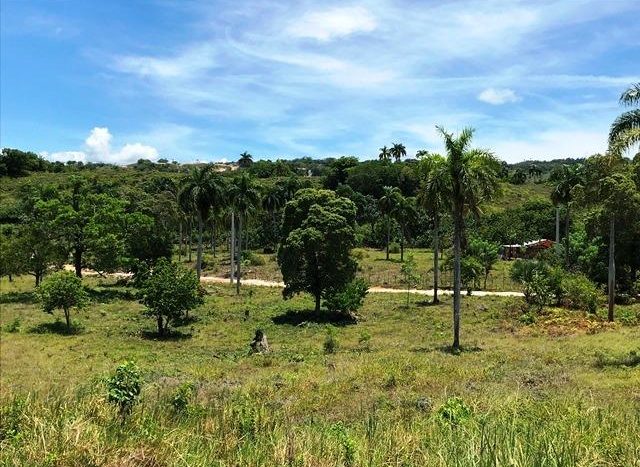 Green Fields in the Villa