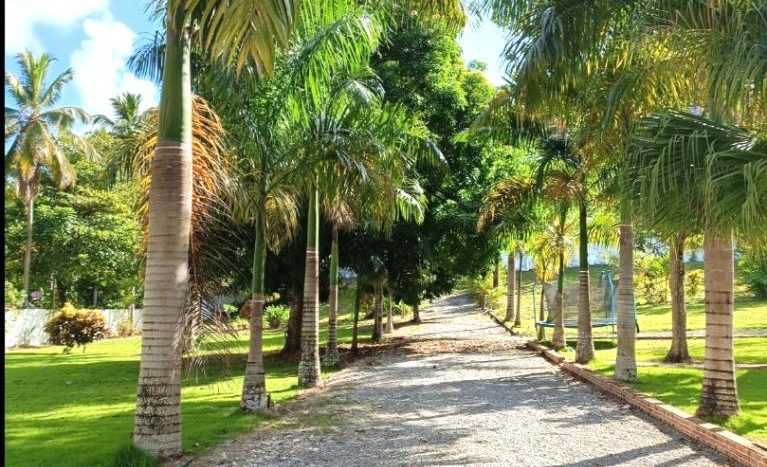 apartments for sale in cabarete dominican republic