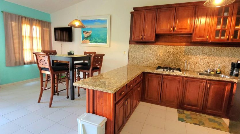 cabarete Villas For Sale