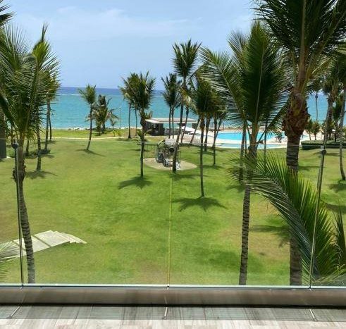 Palm Trees view from the balcony