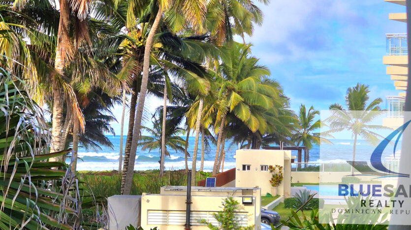 Palm Trees in front of Ocean