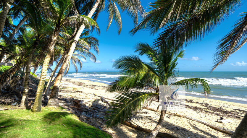 Beach-view