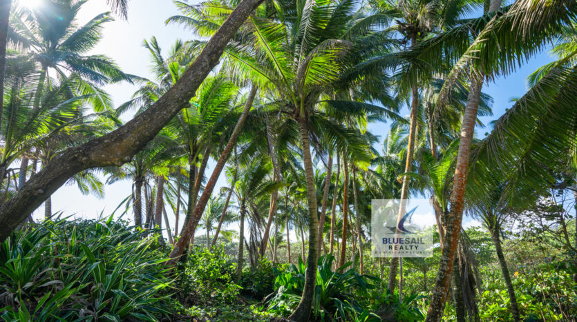 OCEANFRONT LUXURY 4-BEDROOM VILLA IN CABARETE