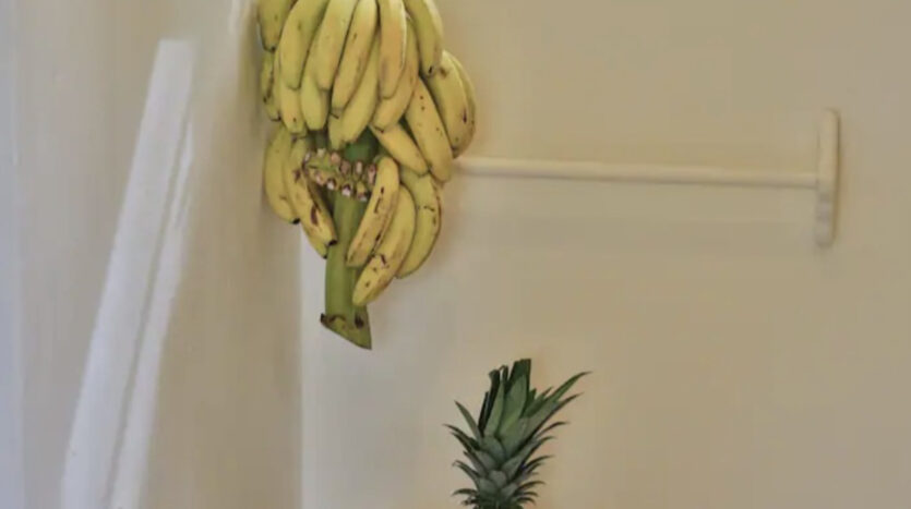 Hanging fruits on wall