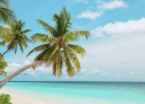 Dominican Republic Real Estate Taxes