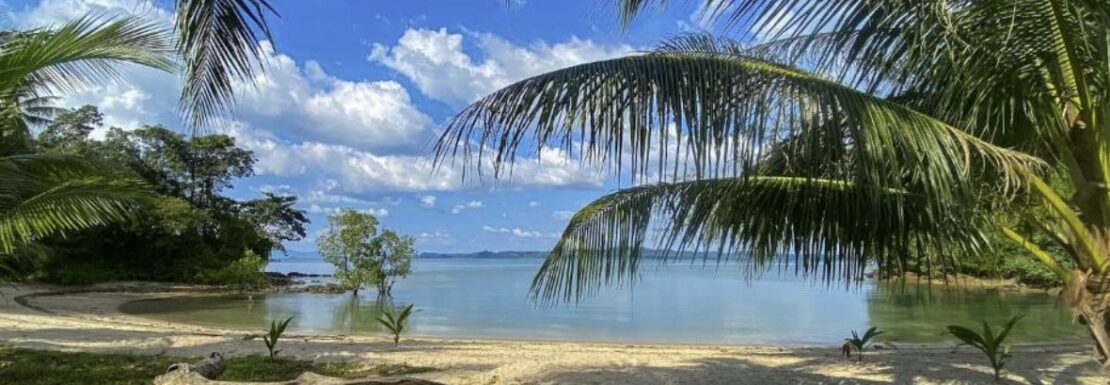 Beachfront Land in Cabarete