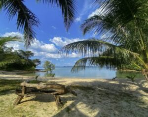 Beachfront Land in Cabarete