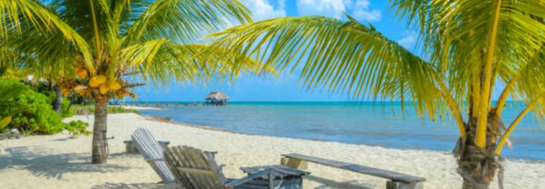 Condos & Apartments with Excellent Rental Yields Dominican